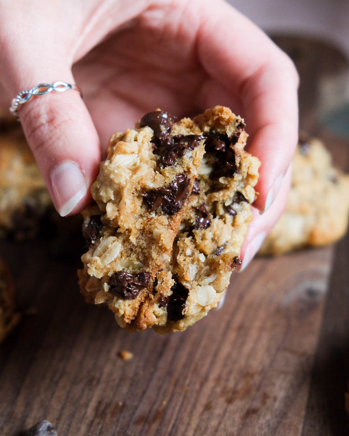 The Best Peanut Butter Oatmeal Cookies with Chocolate Chips - Feeding ...